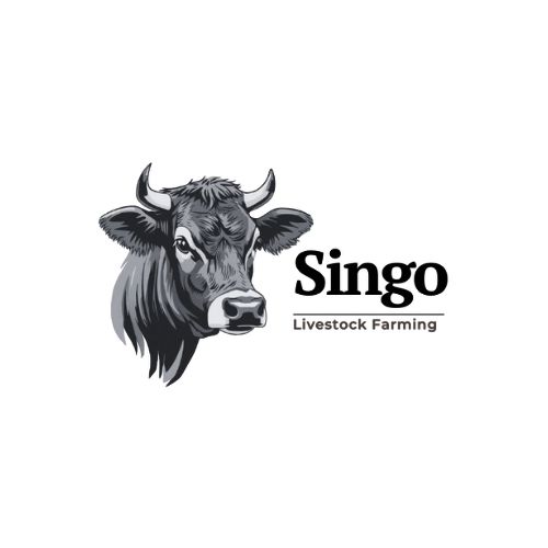Royal Singo Group Brands (5)